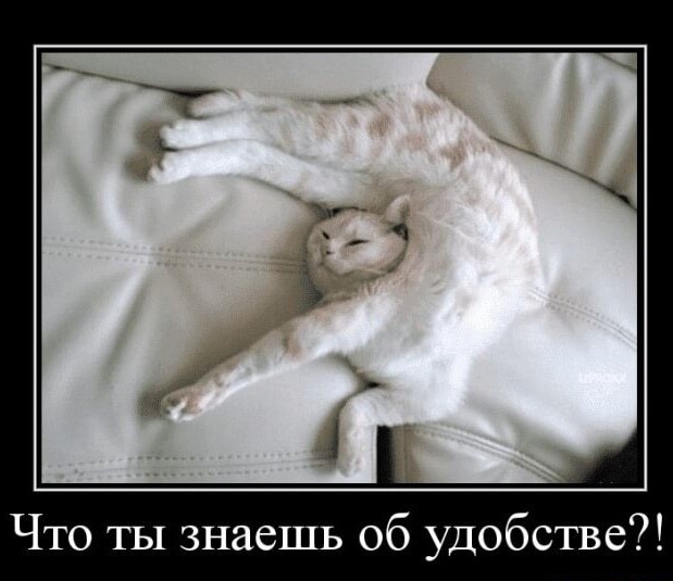 Весёлые картинки 13.04.2022