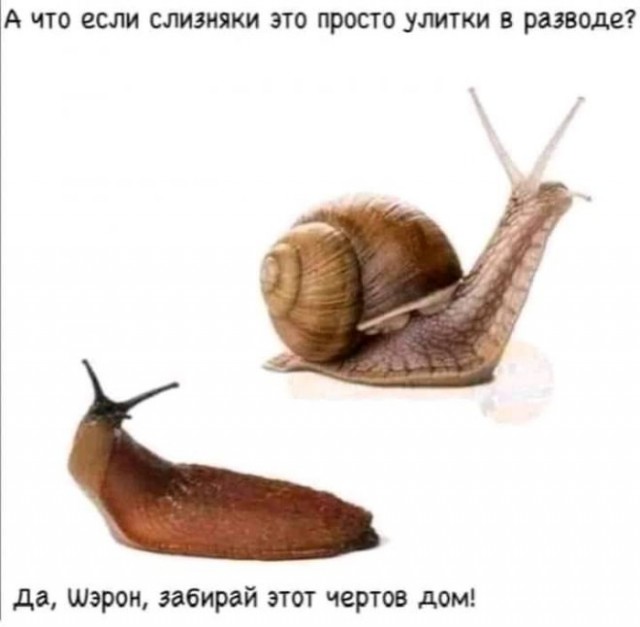 Картинки и мемы для настроения, выходные не за горами