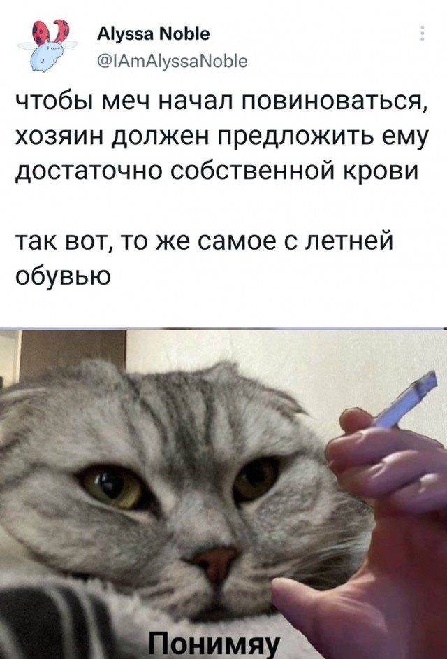 Так себе картинки 16.06.22