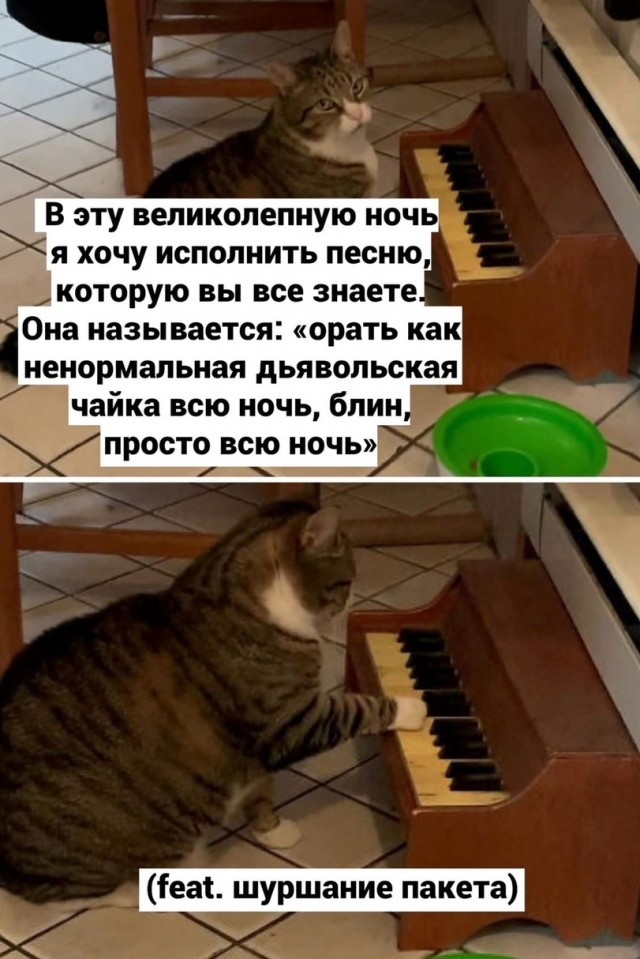 Калейдоскоп картинок