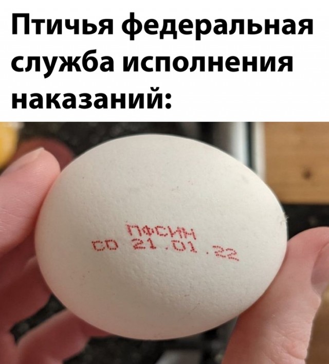 Картинки и мемы для настроения. Выходные скоро