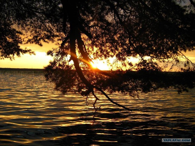 Я просто люблю Беларусь :)