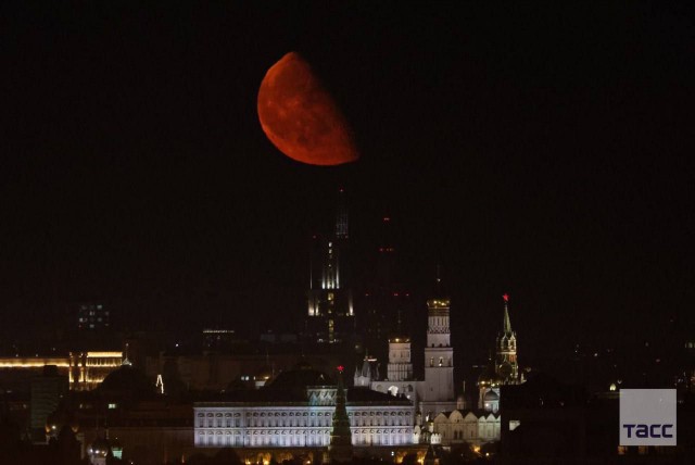 Пандемия съехавших крыш - разновидности болезни. Россия и мир. Часть 44.