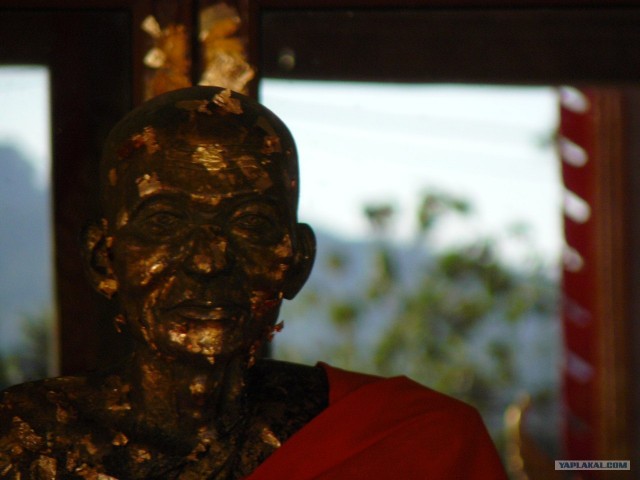 Немного Тая