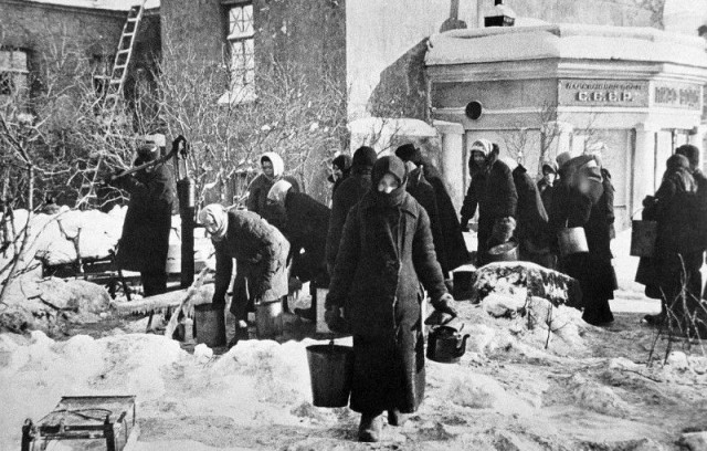 Спасти Ленинград от эпидемии. История блокадного витаминного коктейля