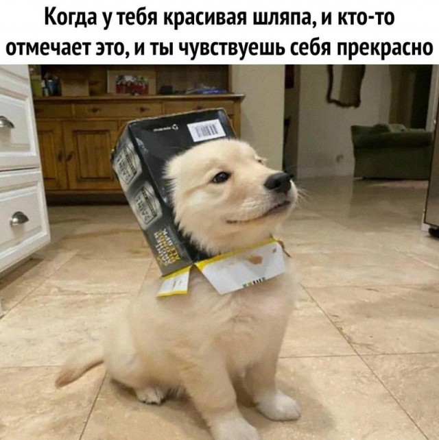 Картинок вам