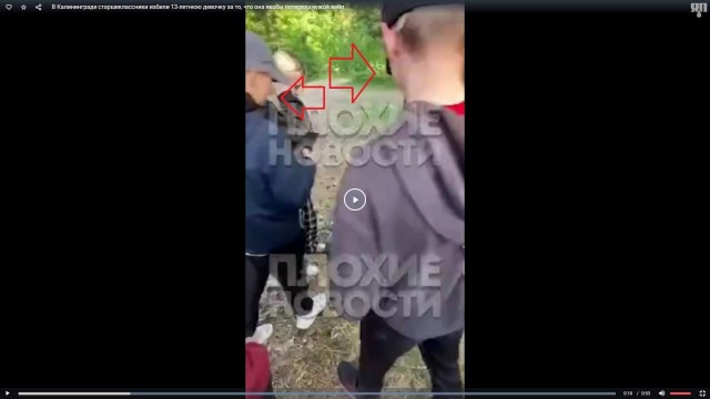 В Калининграде старшеклассники избили 13-летнюю девочку за то, что она якобы потеряла чужой вейп