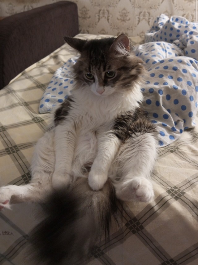 Изюм