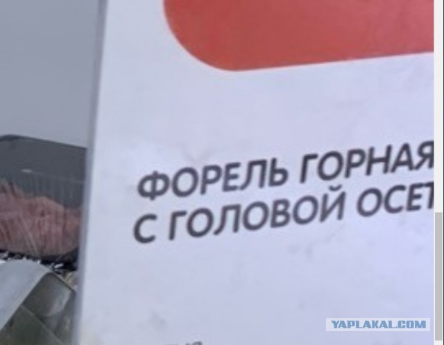 Так себе картинки 30.06.23