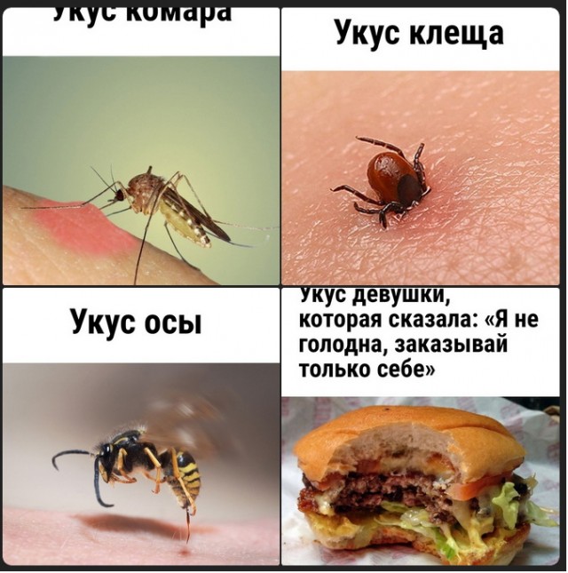 Пятничная скупка краденого из сети 11.08.2023
