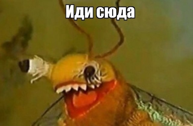 Сам виноват