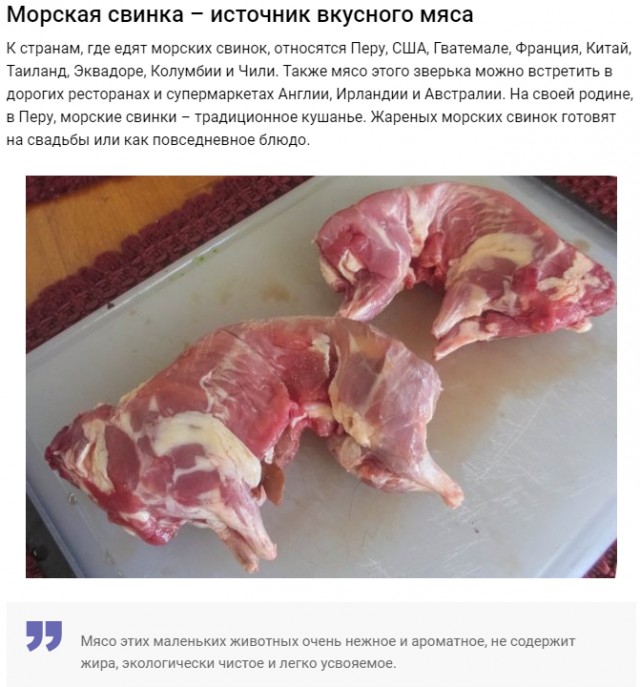 Свинка ушла на радугу