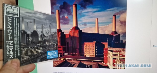 «PINK FLOYD»: истории обложек всех  альбомов