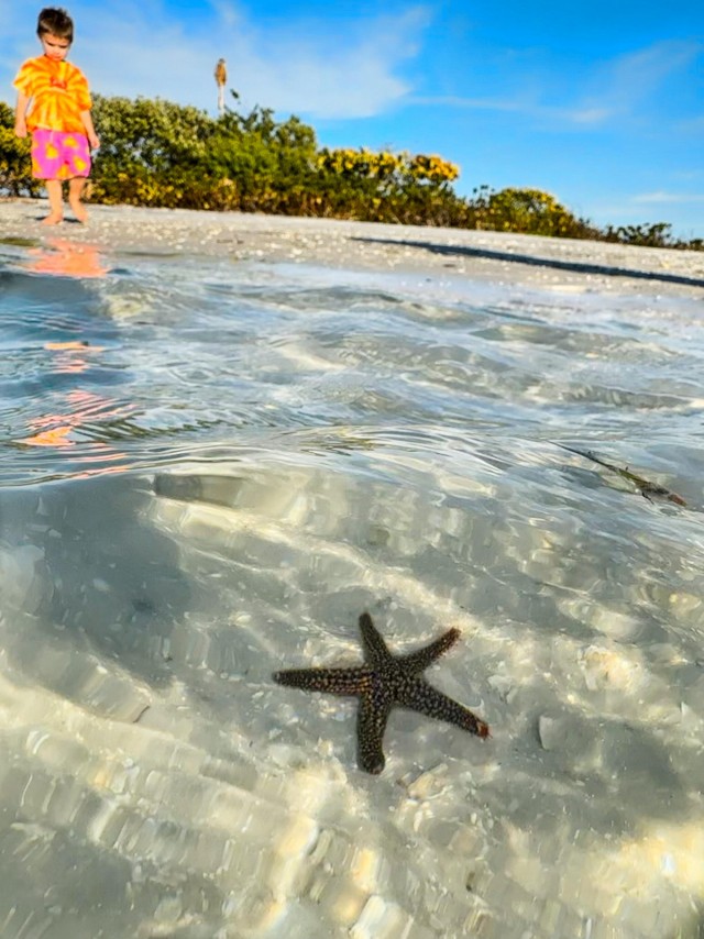 Подборка интересных и веселых картинок 13.02.24