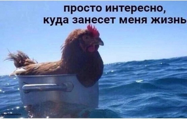 Всего понемногу. От 24.02.24