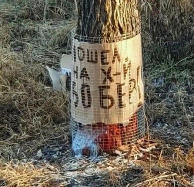 ТЛидцать тЛи от 5 апЛеля