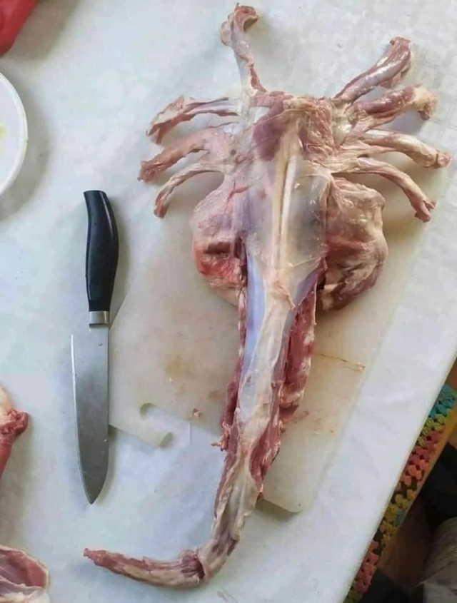 Едкий юмор
