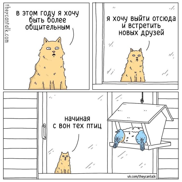 Никакие картинки и тексты