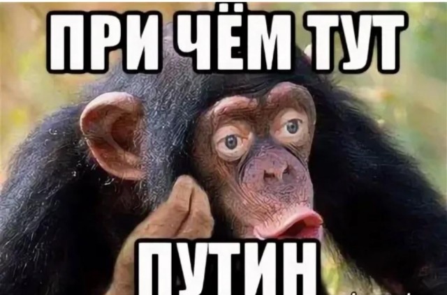 Депутата из Камчатки лишили мандата — он "забыл" отчитаться о доходах ребёнка, который живёт за границей