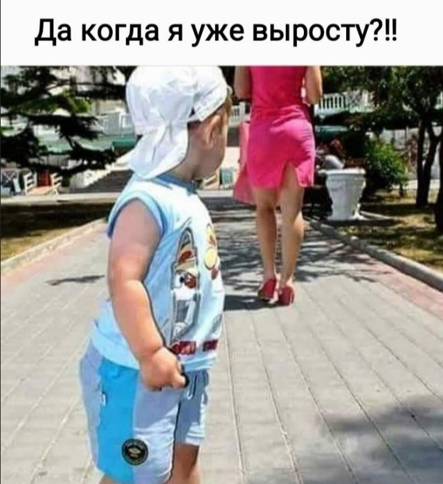Так себе картинки 16.10.24