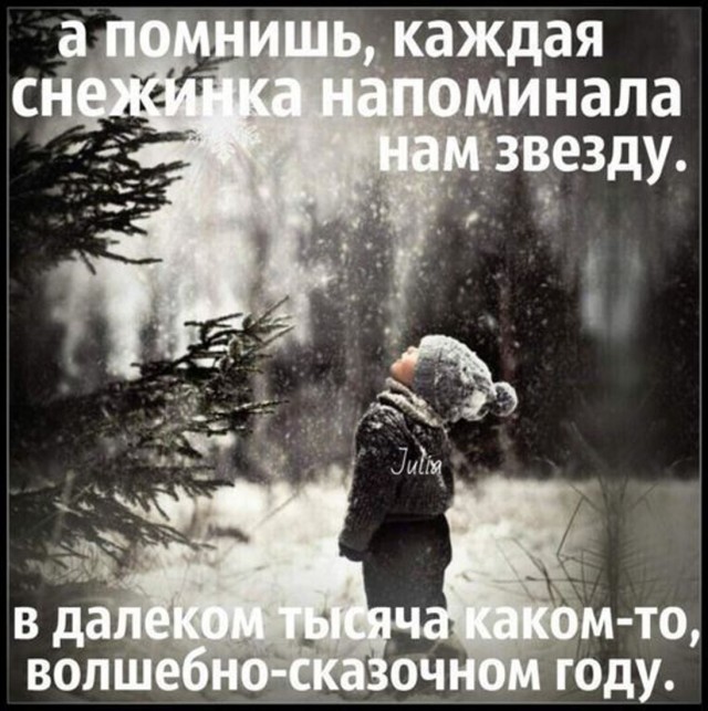 Прикольные и просто красивые картинки 20.12.2024