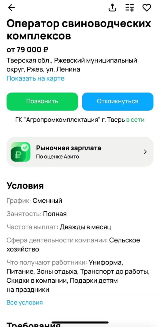 Здравствуй, взрослая жизнь
