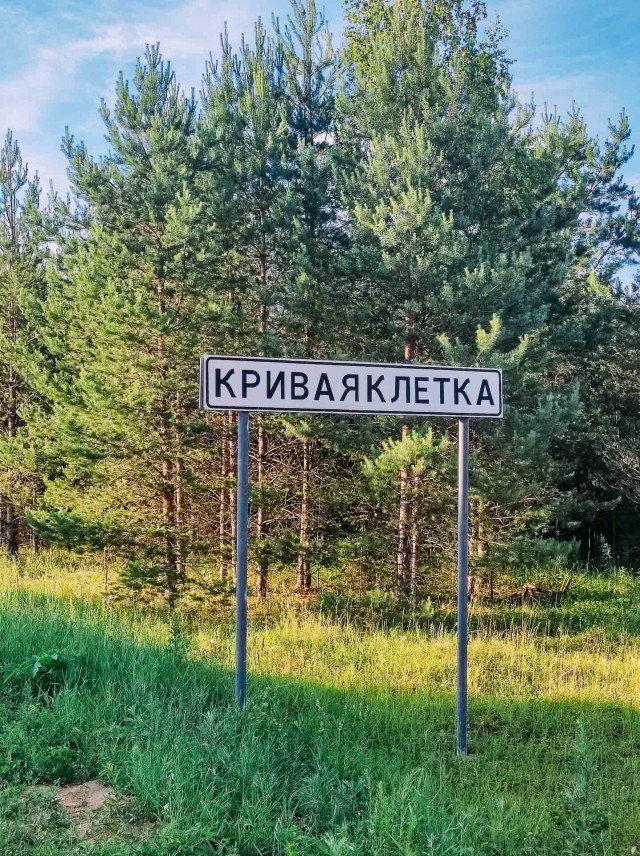 Мой туризм. Москва - Санкт-Петербург. Часть 1