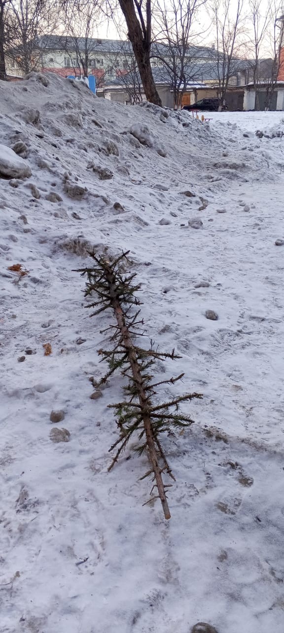 В Сибири наконец-то наступила весна...
