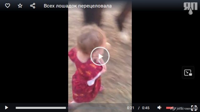 Всех лошадок перецеловала