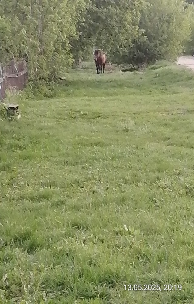А у меня вон чё из окна
