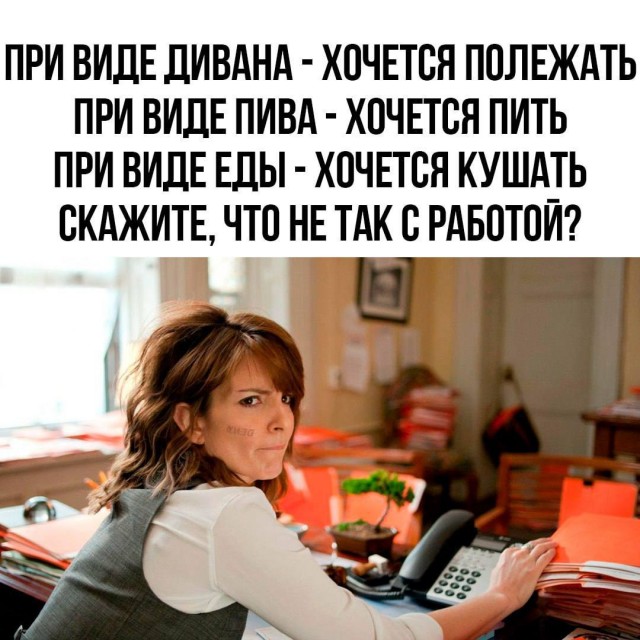 Смешные картинки с надписями и планы на лето 2025