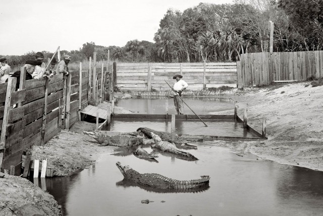 Фотографии США: 1890 - 1910