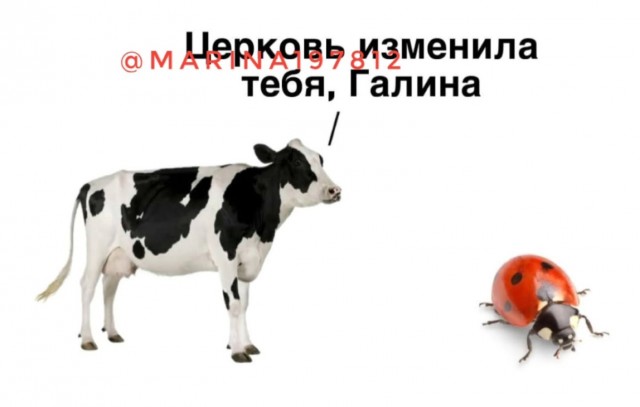 Быстрая деградация