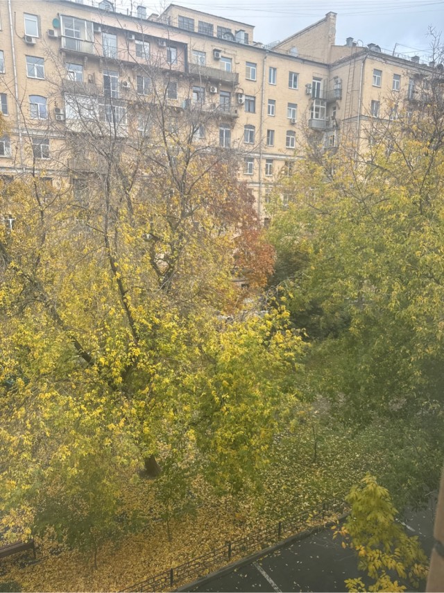 Москвичка переехала из новостройки в старый фонд и совсем ни о чем не жалеет
