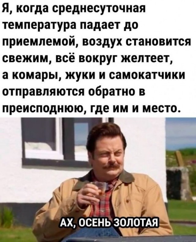 Веселые картинки в маленькую пятницу (15.10)