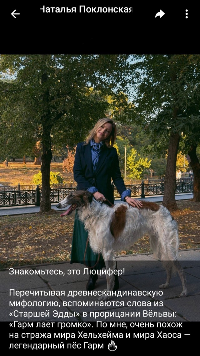 Историк сообщил что означает новое имя Натальи Поклонской