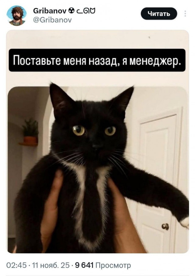 Картинки для деградации 83 (разной степени свежести)
