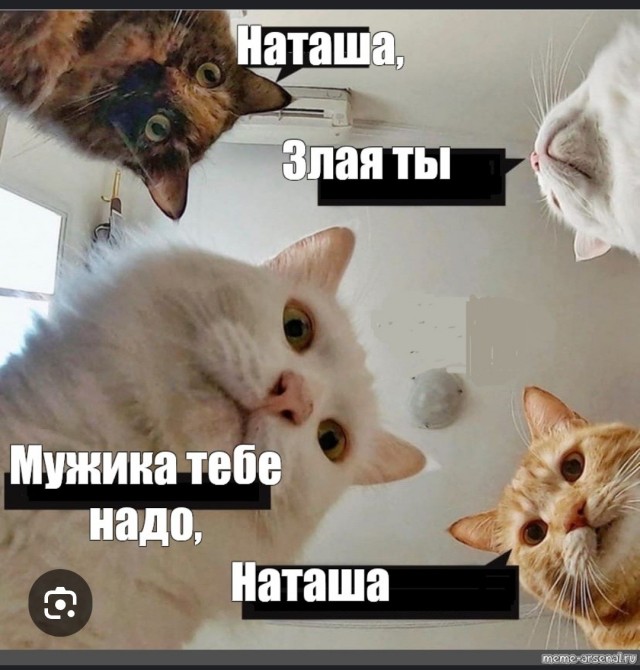 Что хорошего произошло в жизни ЯПовчан в 2025 году?