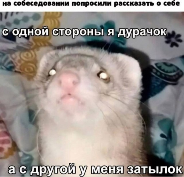 Всякой Хни вам в ленту, дорогие деграданты