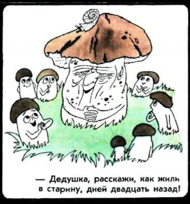 Мальчик попробовал включить компьютер деда