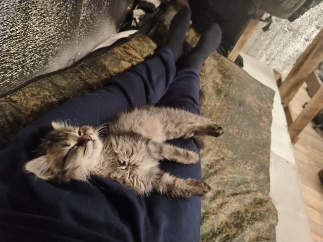 Беспредел