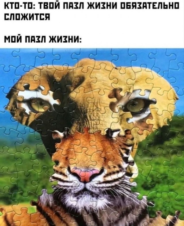 Прикольные и просто красивые картинки 27.02.2026