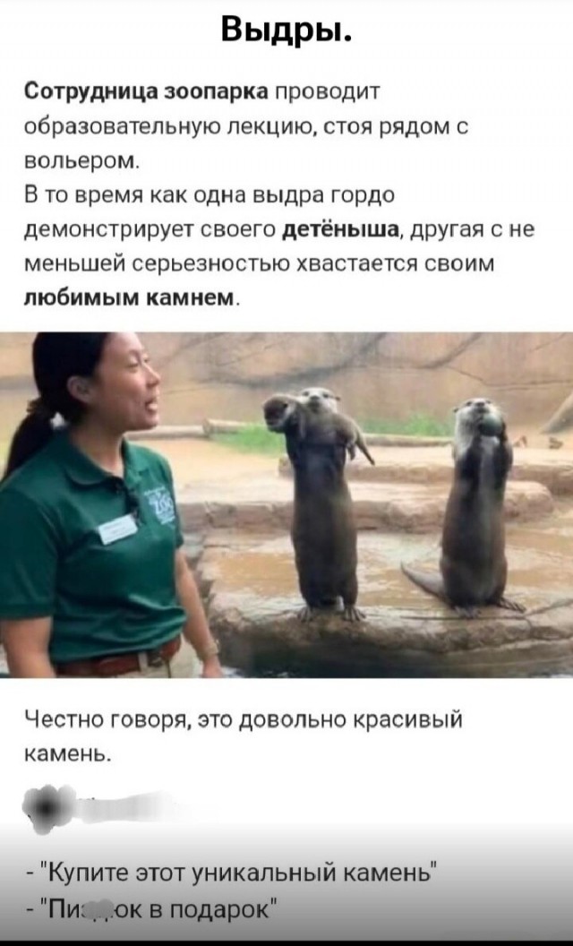Так себе картинки 08.05.26