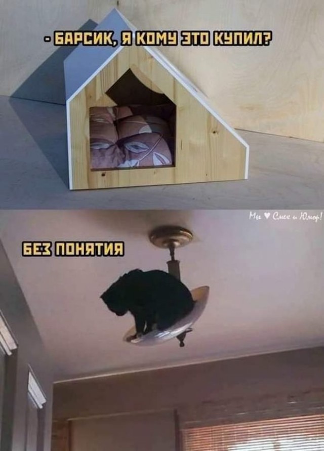 Картиночки, баянчики 16 мая