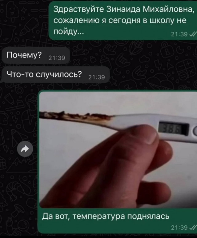 Картиночки, баянчики 25 июня