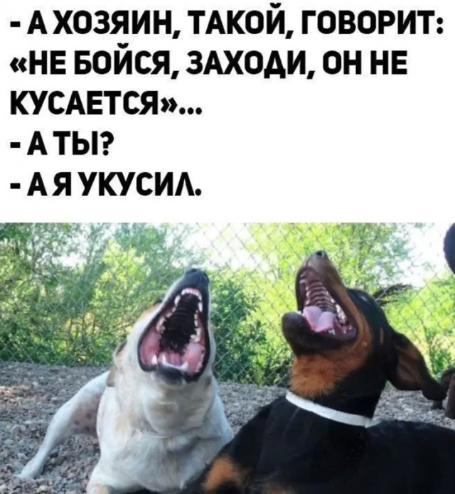 Веселое настроение в картинках 26.07.26