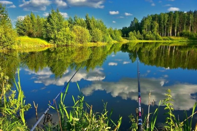 Рыбалка