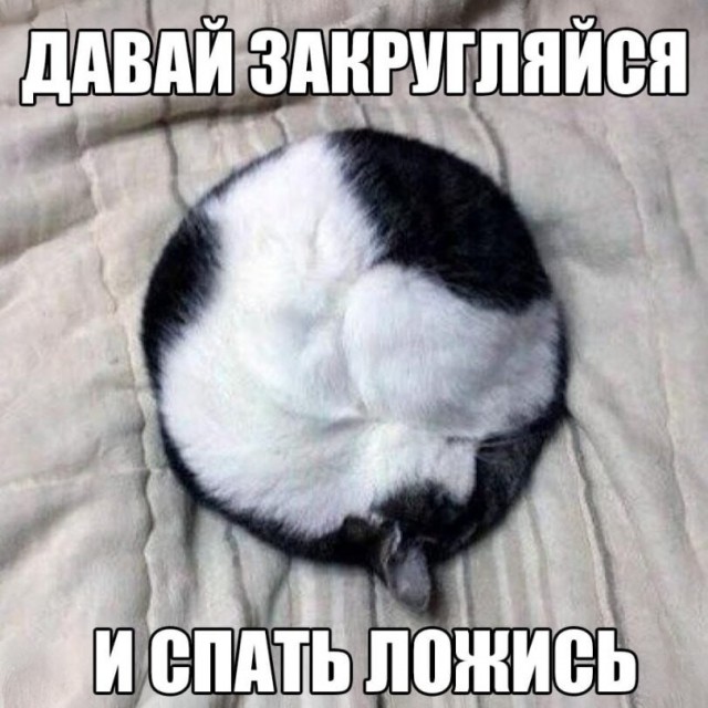Картинки для деградации 278 (разной степени свежести)