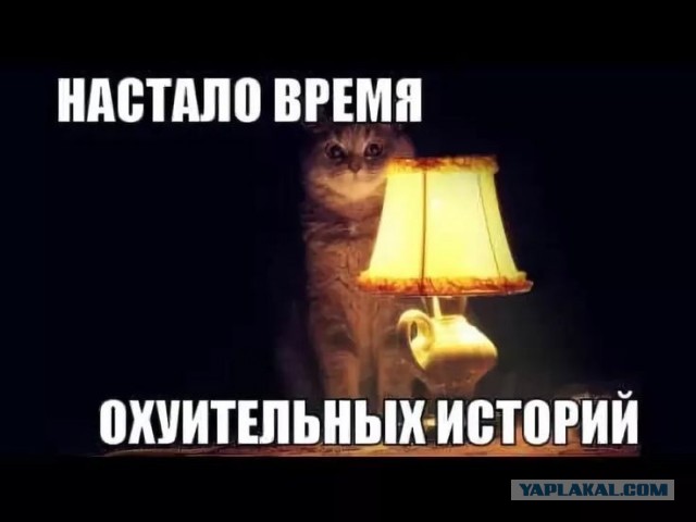 «Картошка подорожала»