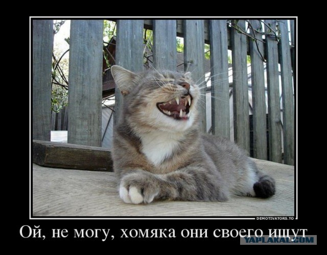 Двухъярусная кровать.